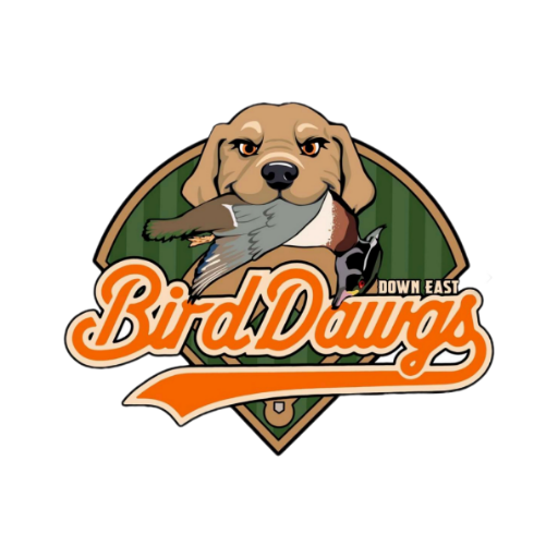 Down East Bird Dawgs