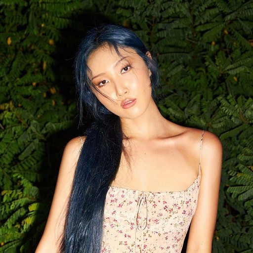 HWASA in Jacksonville