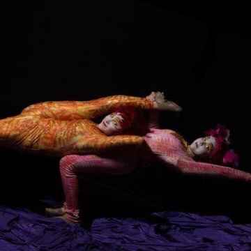 Le Petit Cirque Jacksonville Tickets