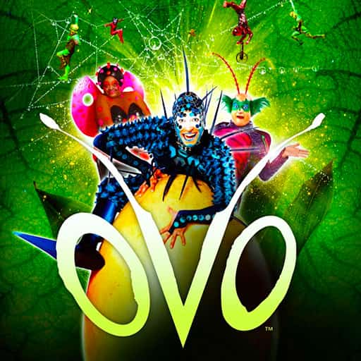 Cirque du Soleil - Ovo Jacksonville Tickets